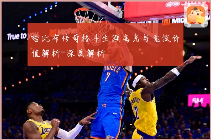 哈比布传奇格斗生涯高光与竞技价值解析-深度解析